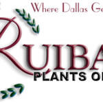 Ruibals-Logo-Maroon